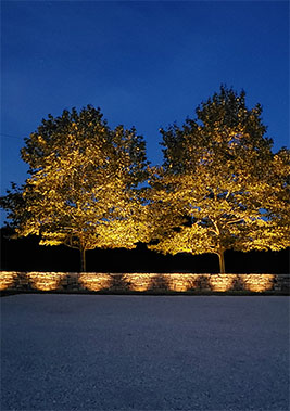 Outdoor Landscape Lighting